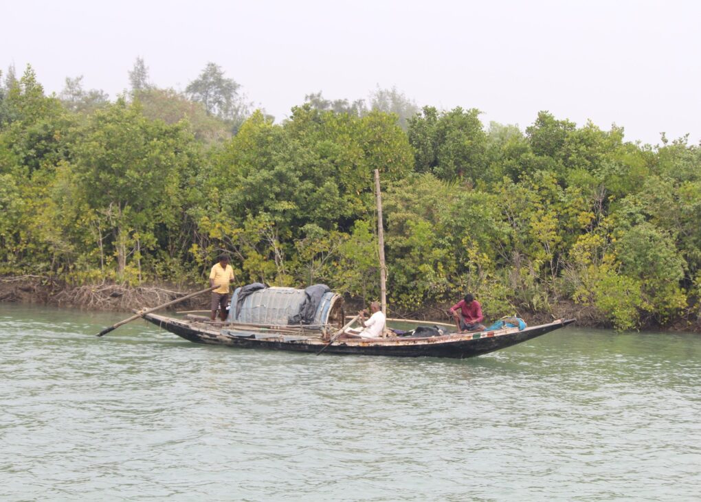 জলের জীবন