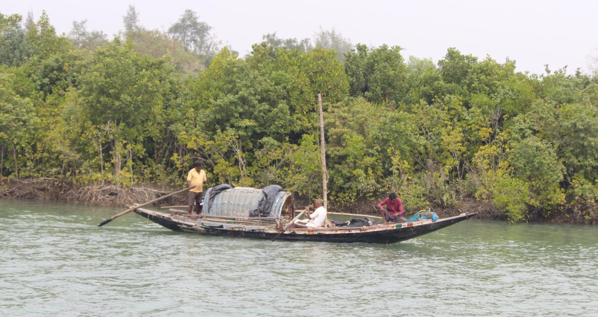জলের জীবন