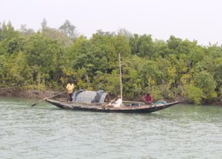 জলের জীবন