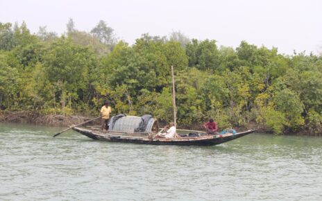 জলের জীবন