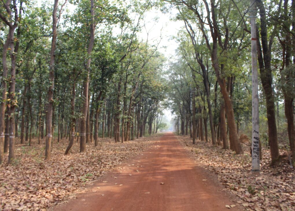 আরাবাড়ি, পশ্চিম মেদিনীপুর