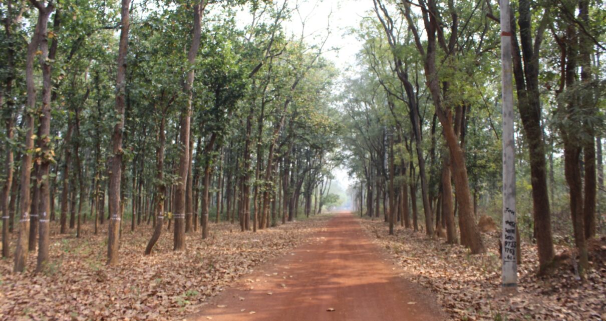 আরাবাড়ি, পশ্চিম মেদিনীপুর
