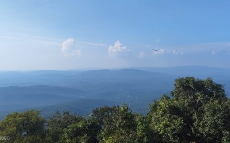 সারান্ডার জঙ্গল।