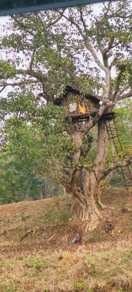 কাঁকড়াঝোর, বেলপাহাড়ি, ঝাড়গ্রাম।