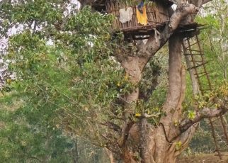 কাঁকড়াঝোর, বেলপাহাড়ি, ঝাড়গ্রাম।