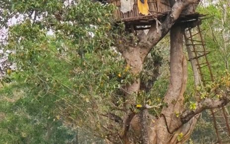 কাঁকড়াঝোর, বেলপাহাড়ি, ঝাড়গ্রাম।