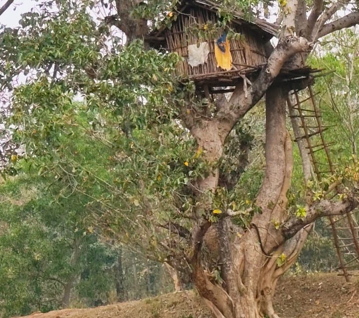 কাঁকড়াঝোর, বেলপাহাড়ি, ঝাড়গ্রাম।