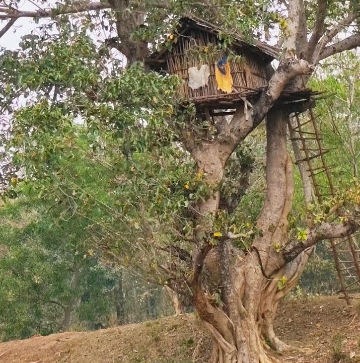 কাঁকড়াঝোর, বেলপাহাড়ি, ঝাড়গ্রাম।