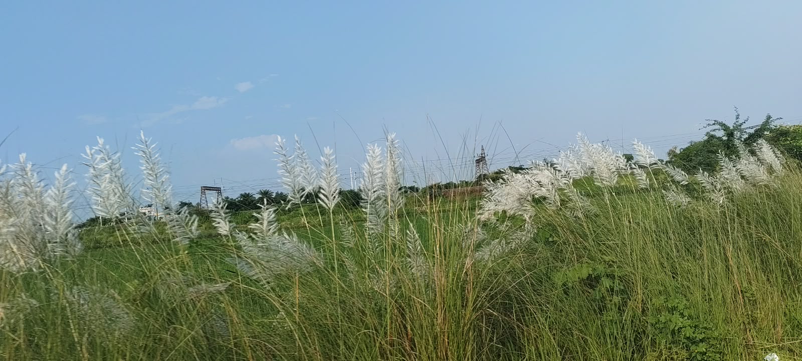 তালাণ্ডু, হুগলি