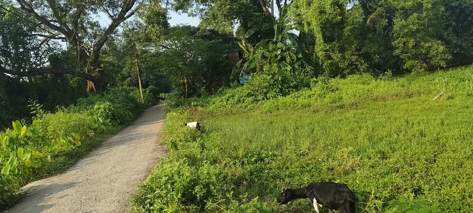 তালাণ্ডু, হুগলি