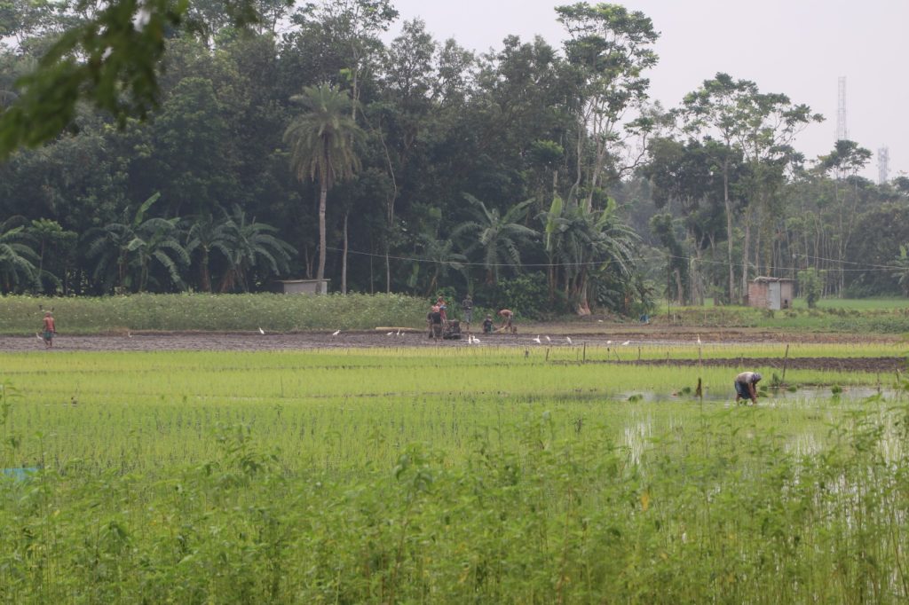 চন্দ্রকেতু গড়।