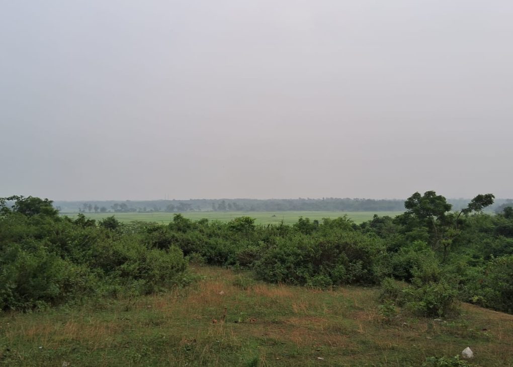 খড়িকামাথানি থেকে গোপীবল্লভপুরের পথে।