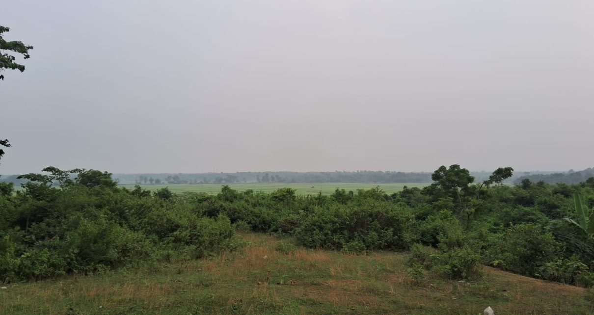 খড়িকামাথানি থেকে গোপীবল্লভপুরের পথে।