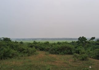 খড়িকামাথানি থেকে গোপীবল্লভপুরের পথে।